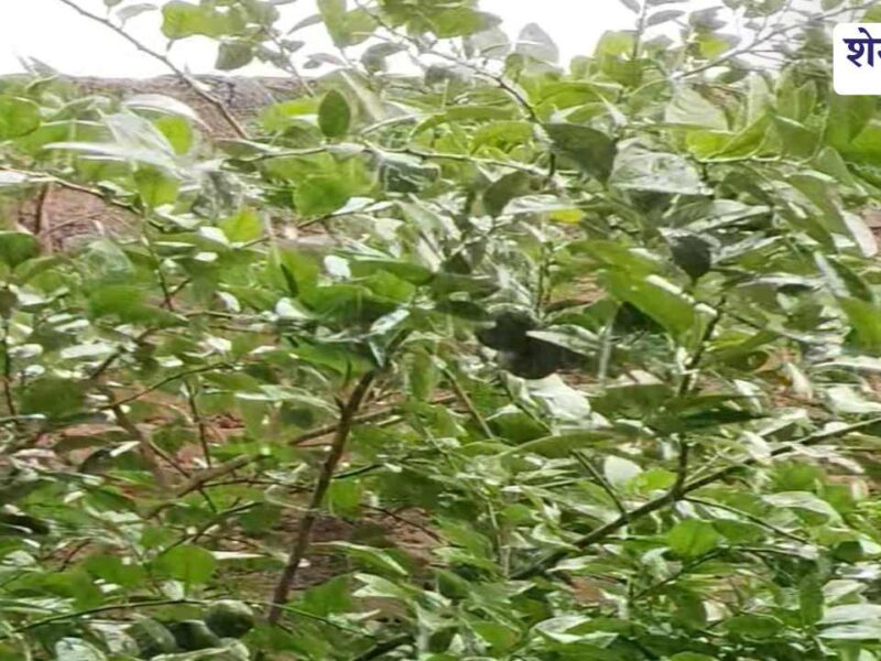 चूरू में बदला मौसम का मिजाज, मेघगर्जन के साथ बूंदाबांदी